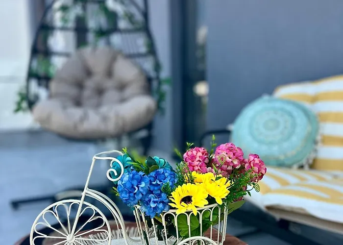 Rio Deluxe ソフィア