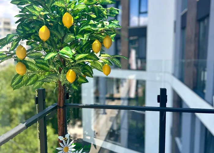 Rio Deluxe アパート ソフィア